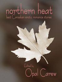 Northern Heat: Best Canadian Erotic Romance Stories